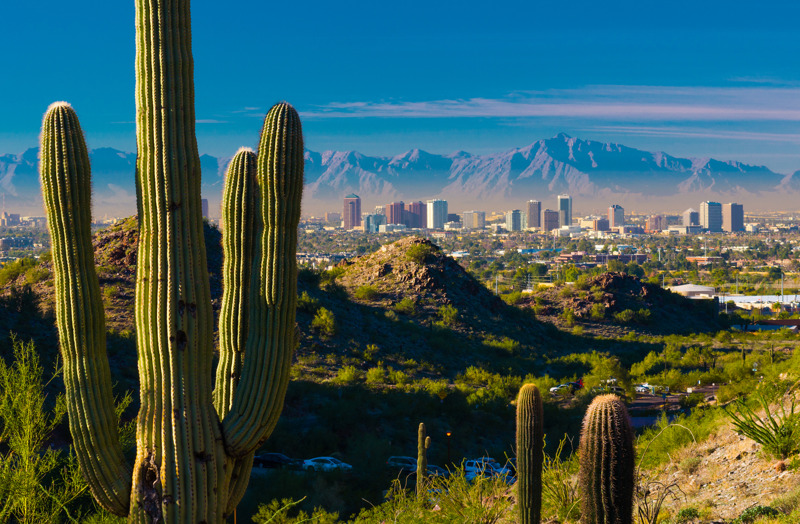 Phoenix Neighborhood Page