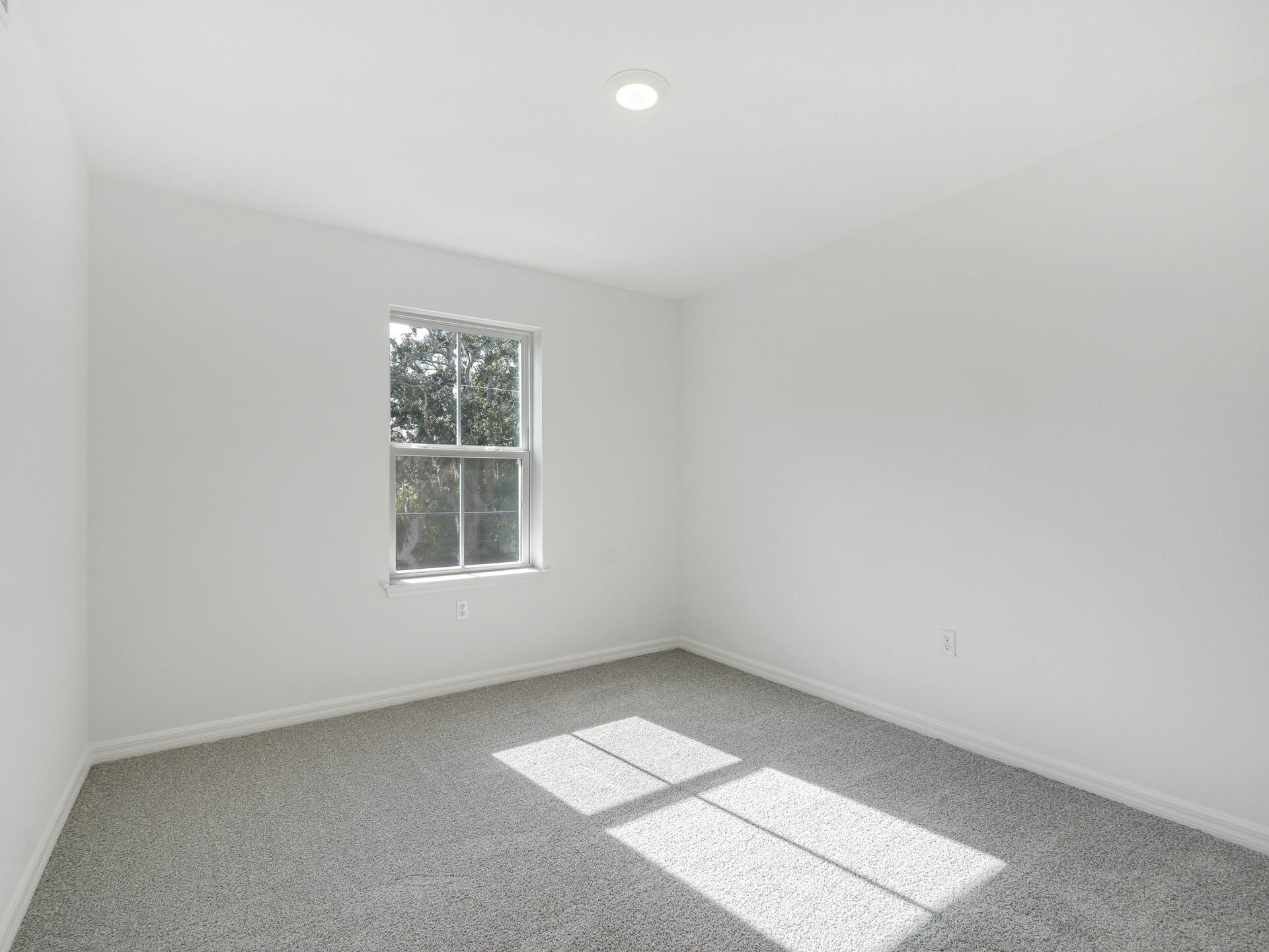 room with carpet throughout and single window