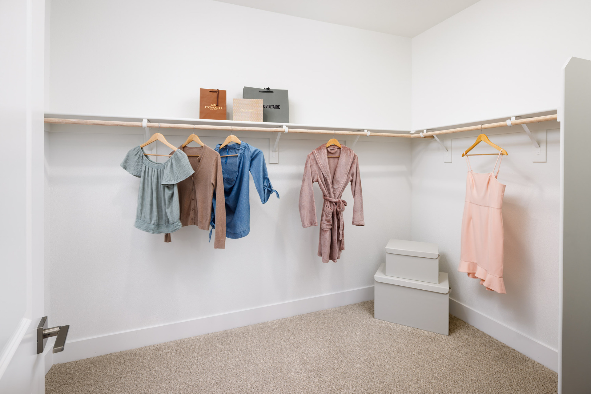 walk-in closet with tan carpet, white walls, shelves, and hanging clothes