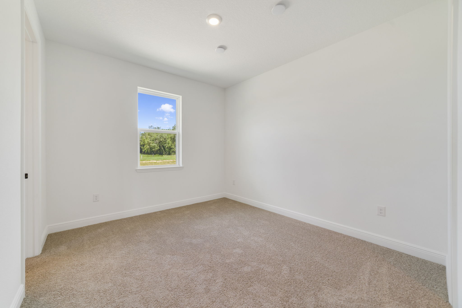 second bedroom with carpet and one window