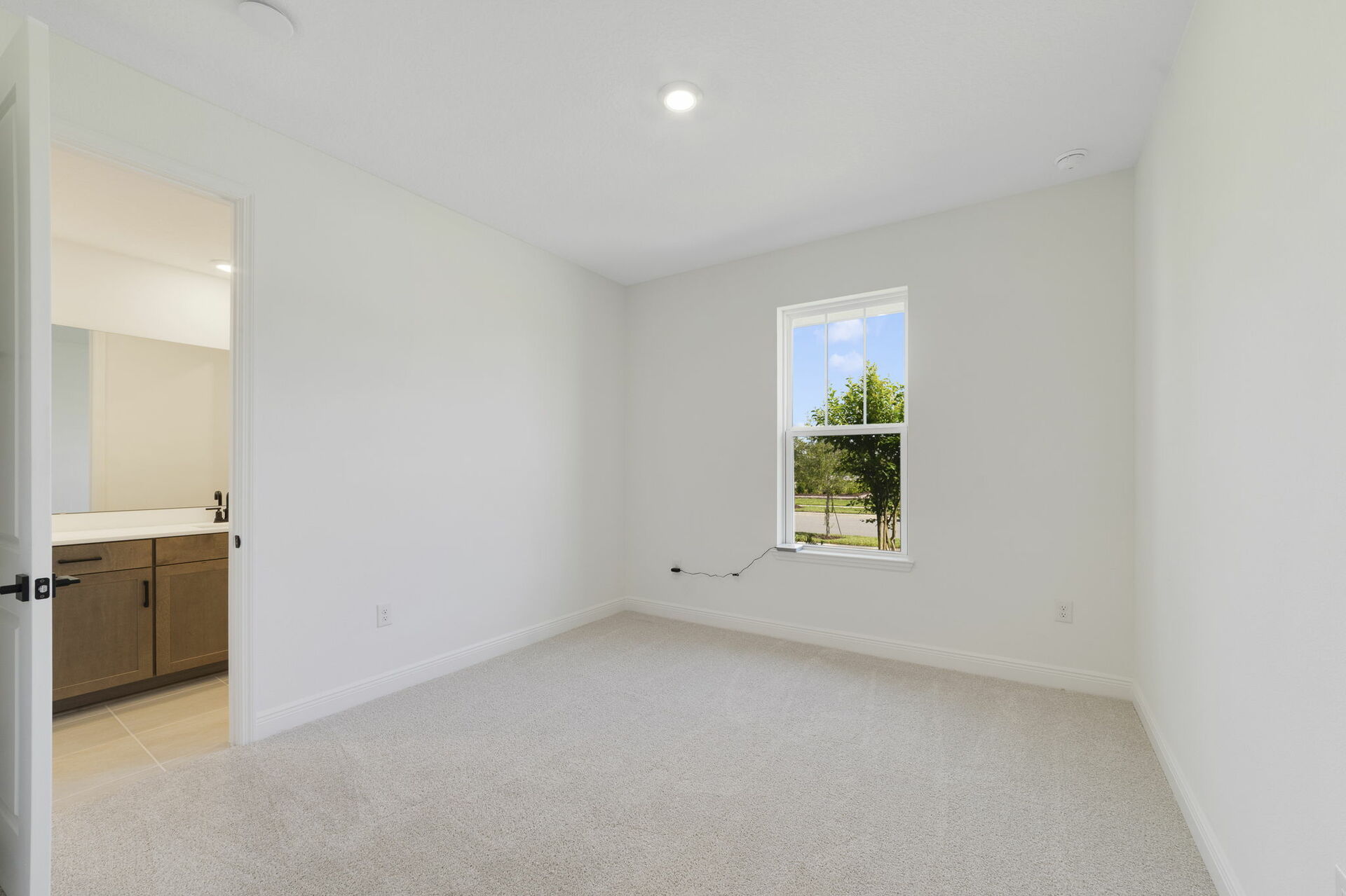 carpet throughout with single window