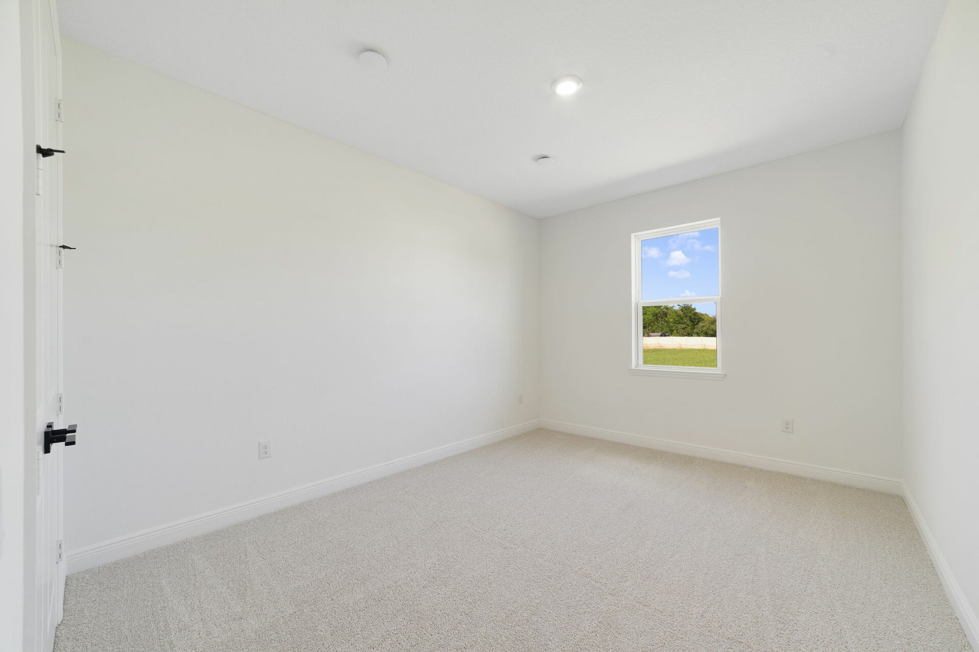 carpet throughout with a single window