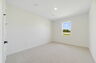 carpet throughout with a single window