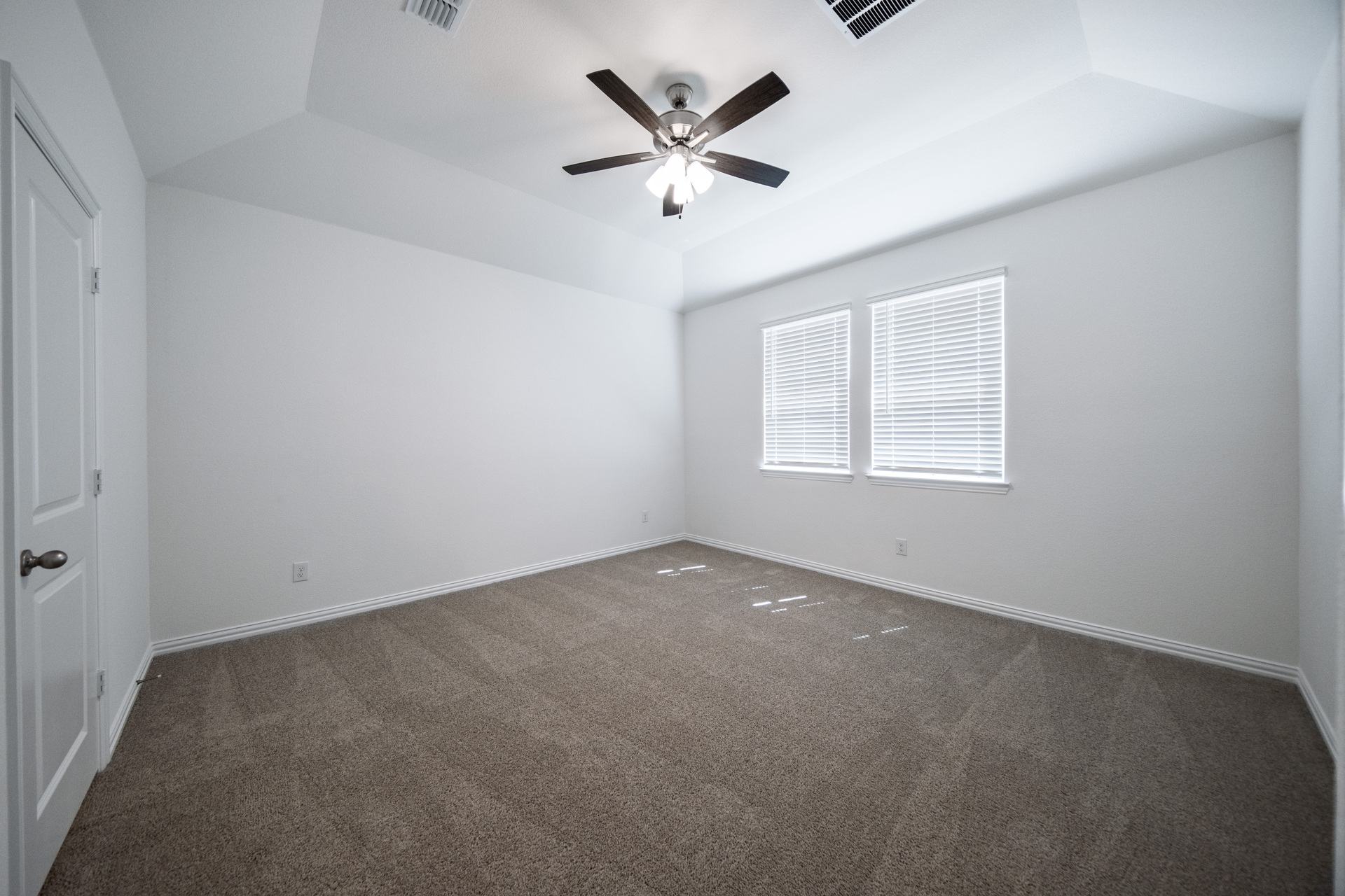 primary bedroom with carpet and windows