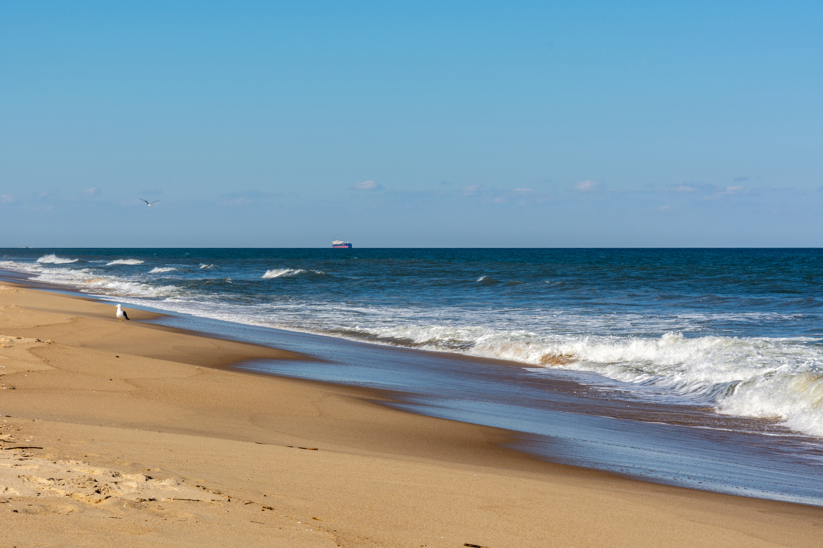 Rehoboth Beach