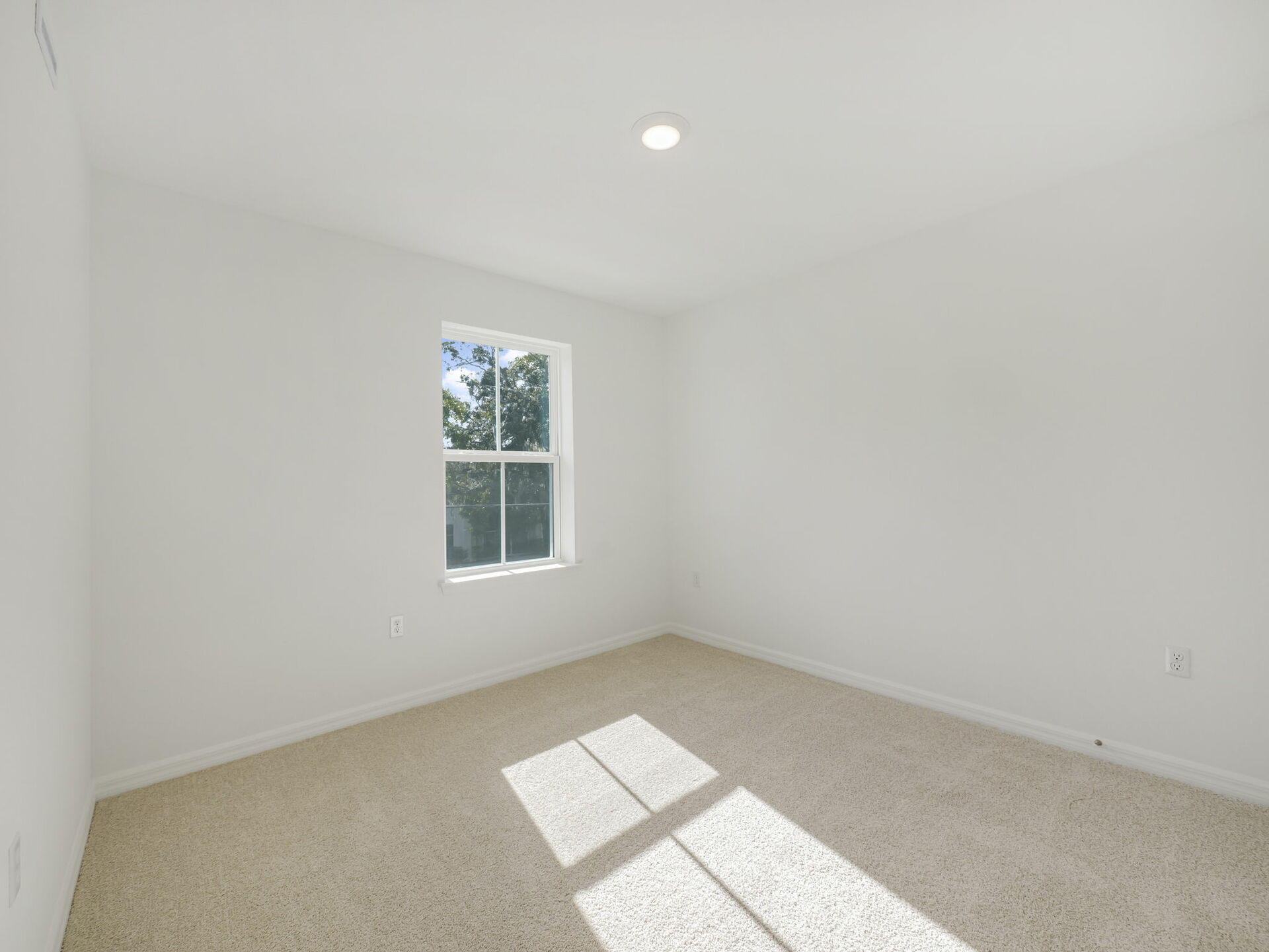 second bedroom with carpet and one window
