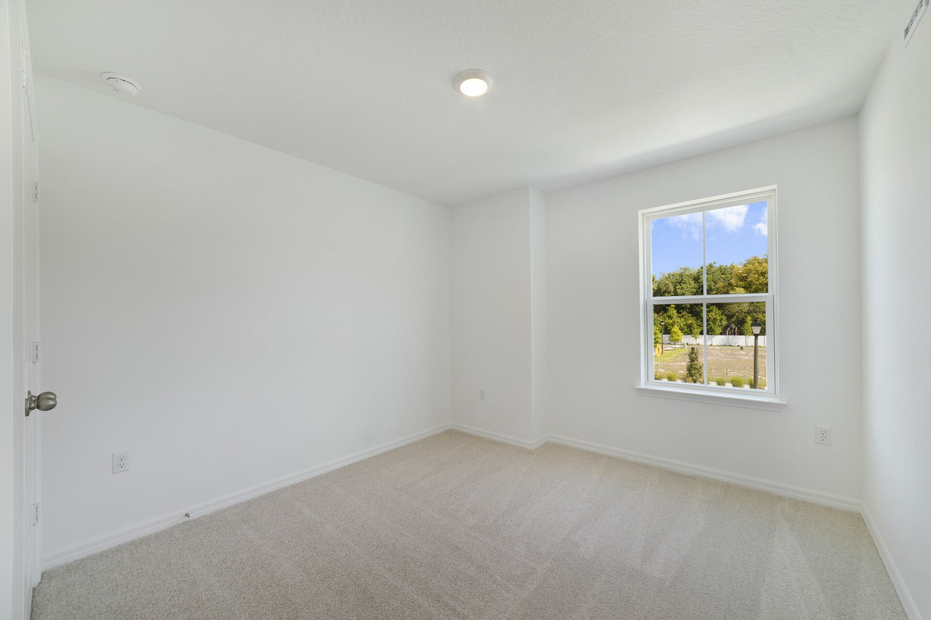 carpet throughout and single window