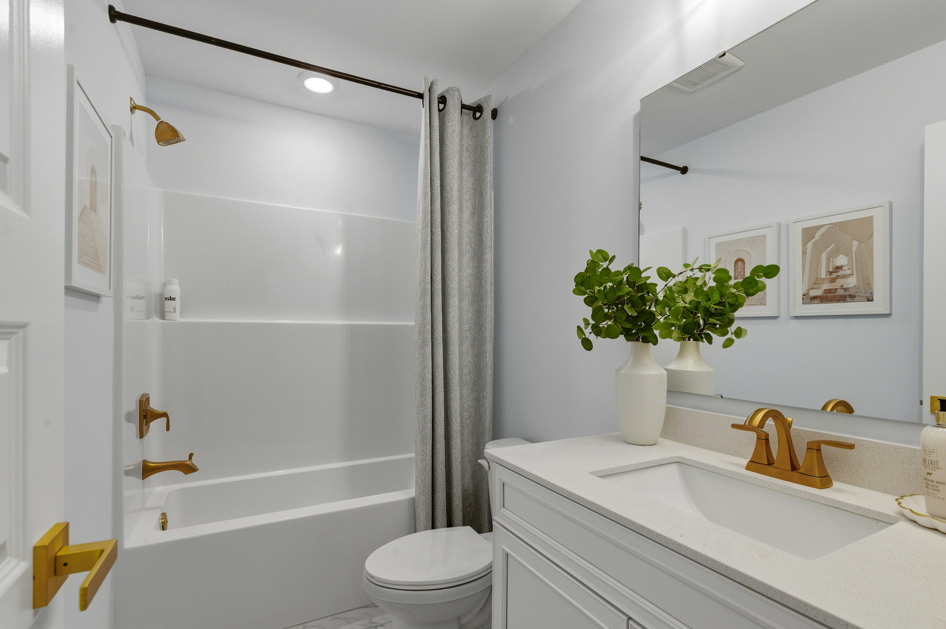 shower tub combo with a plant on the counter 