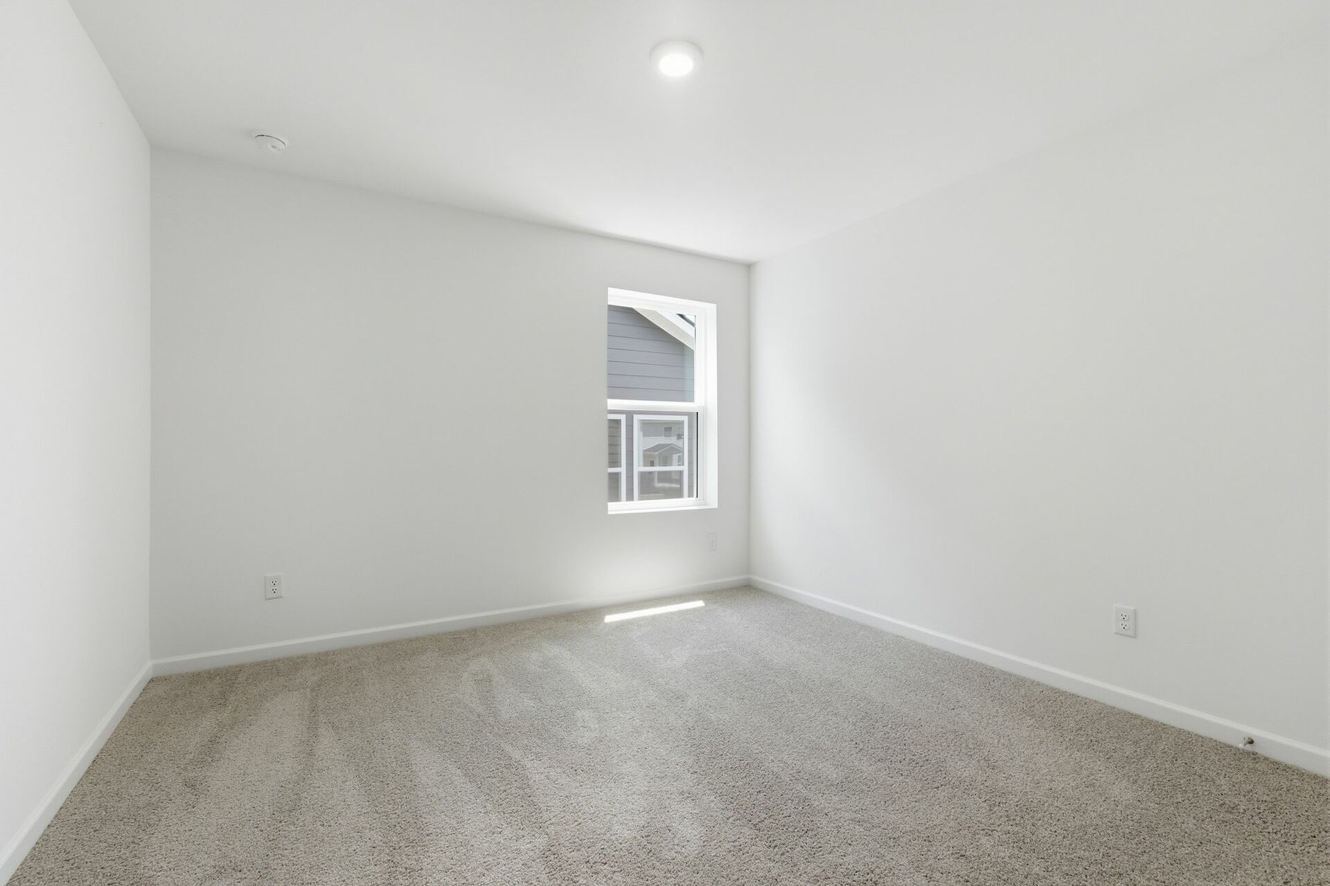 secondary bedroom with carpet, large windows, and walk-in closet