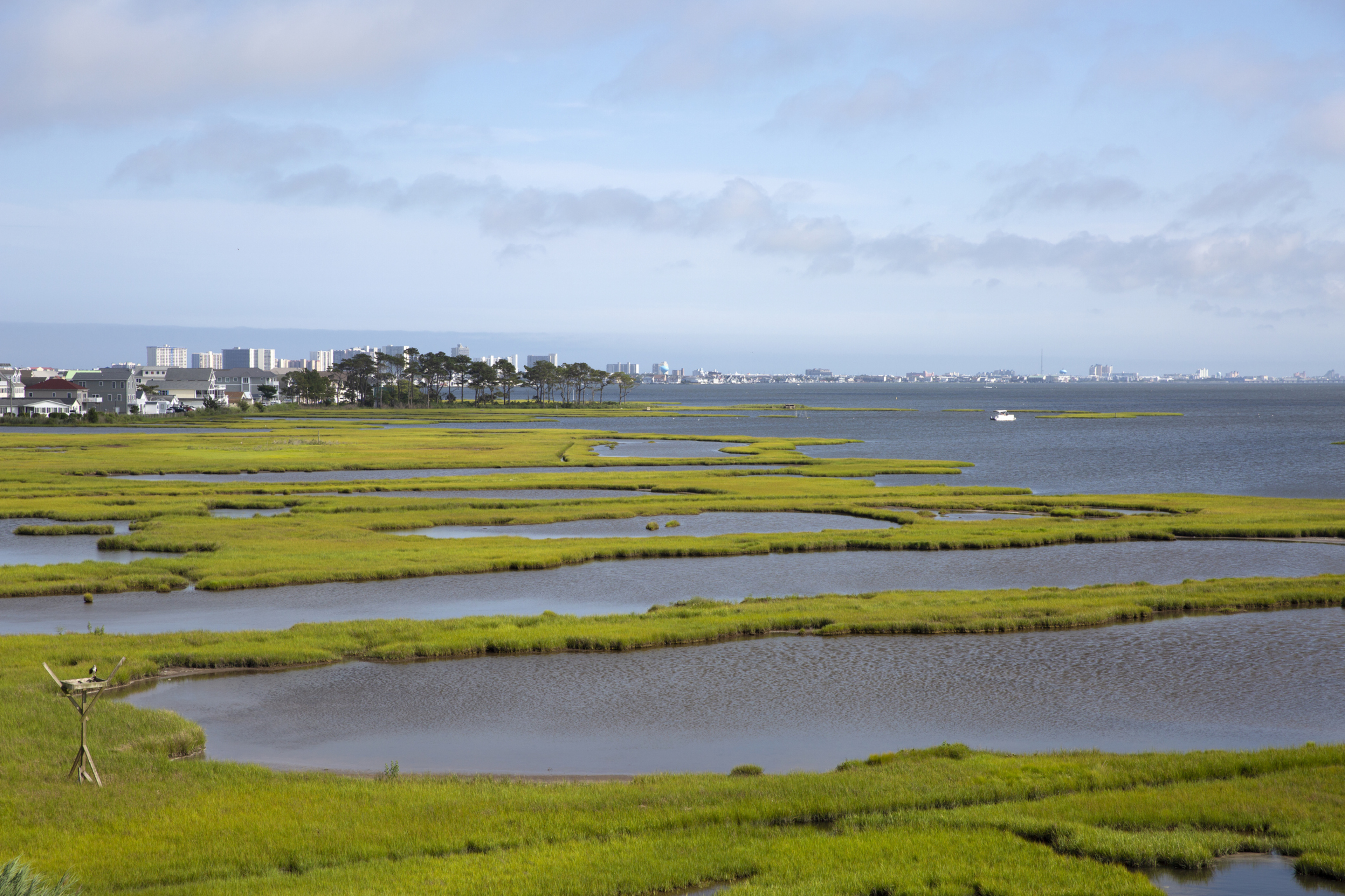 Selbyville-Fenwick Island.jpg