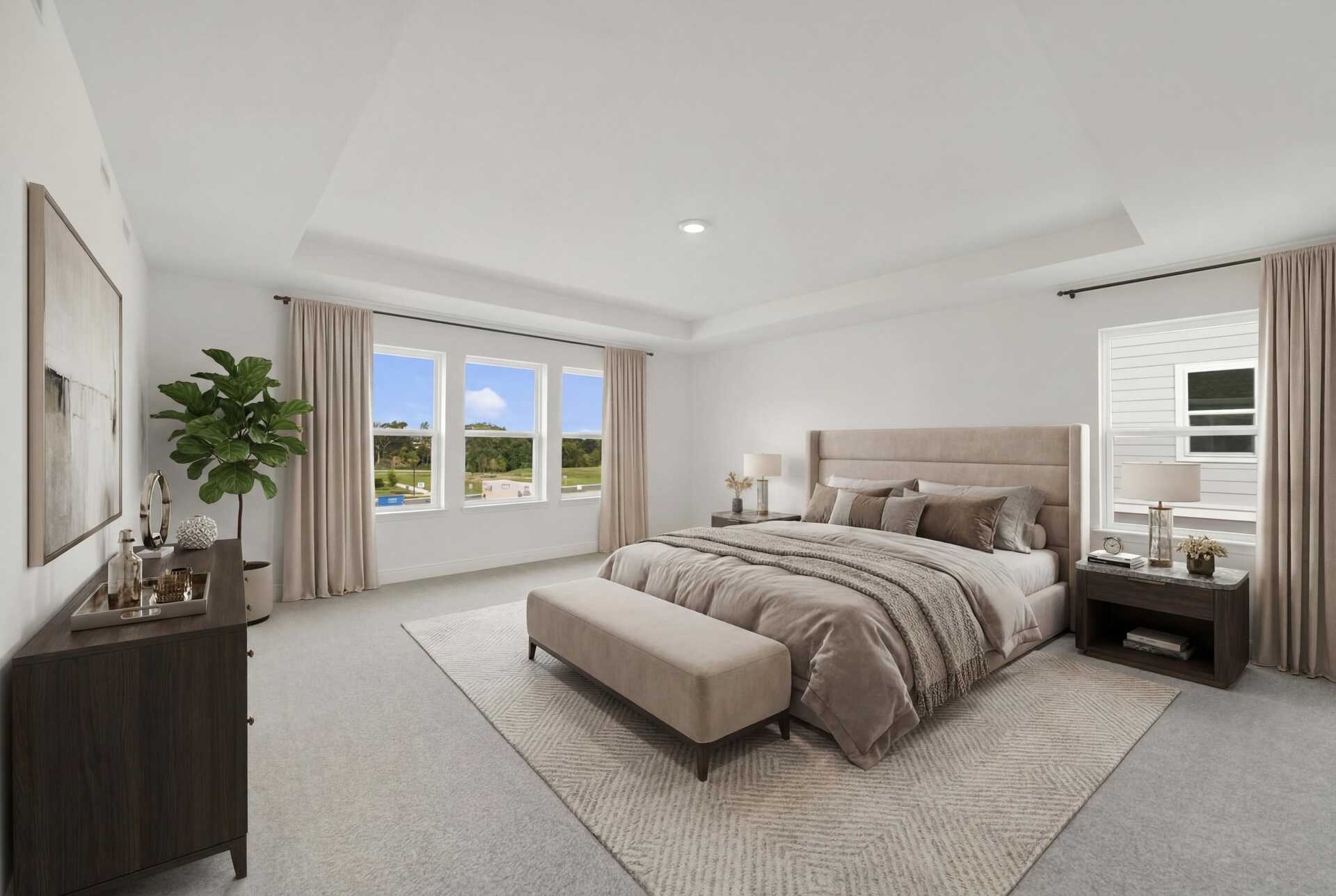 carpet throughout, multiple windows and tray ceilings  