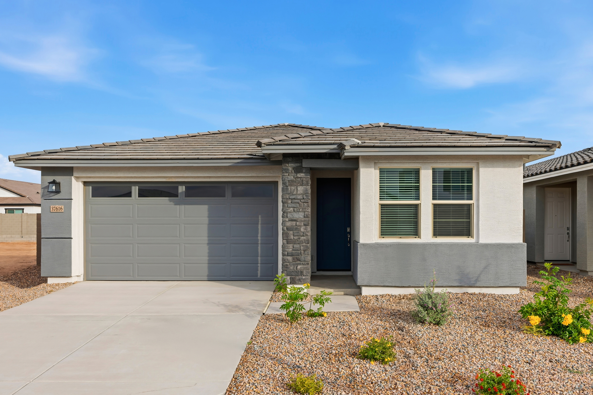 single-story home with desert landscaping and concrete driveway