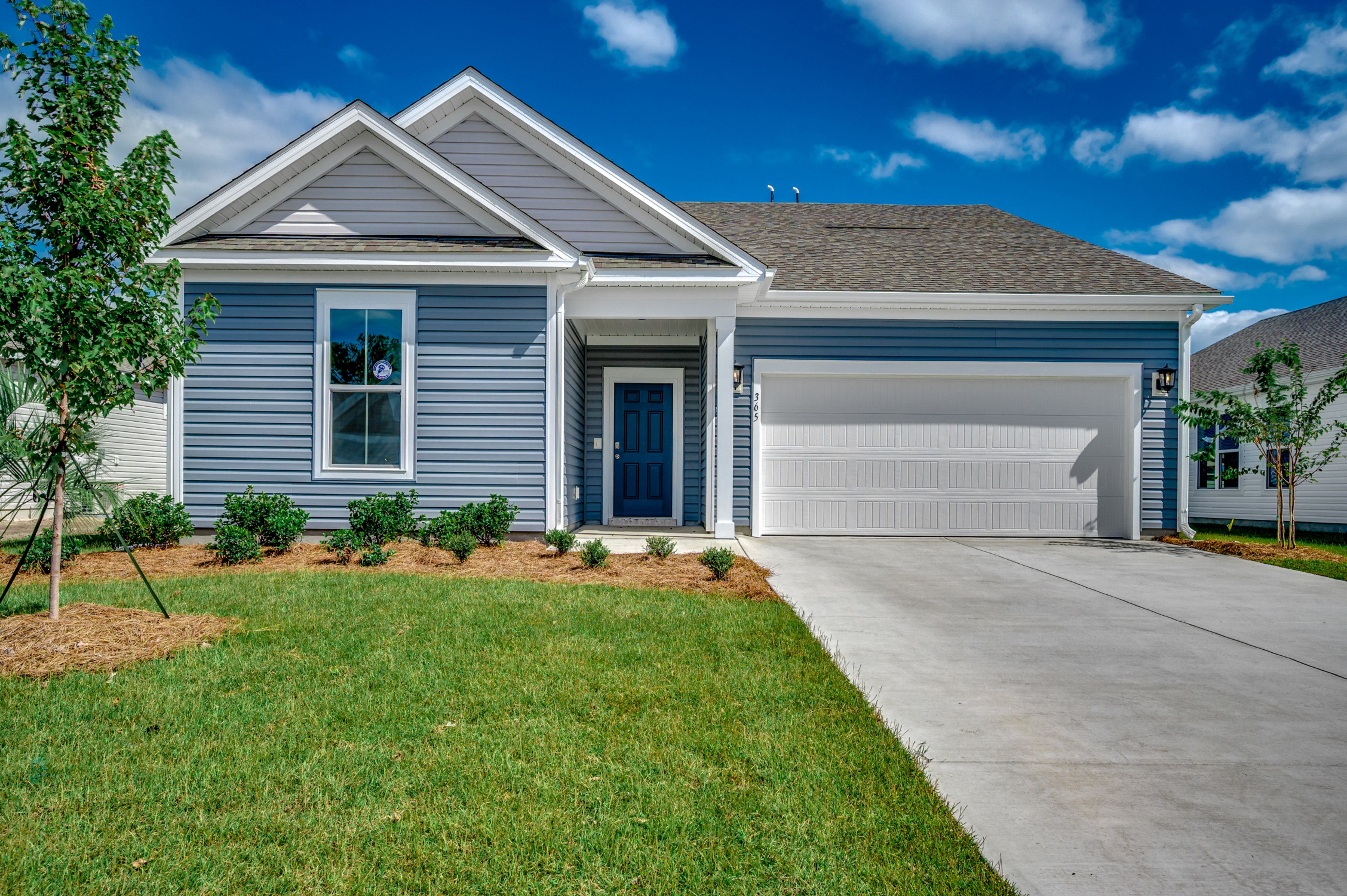 Card image for Georgetown