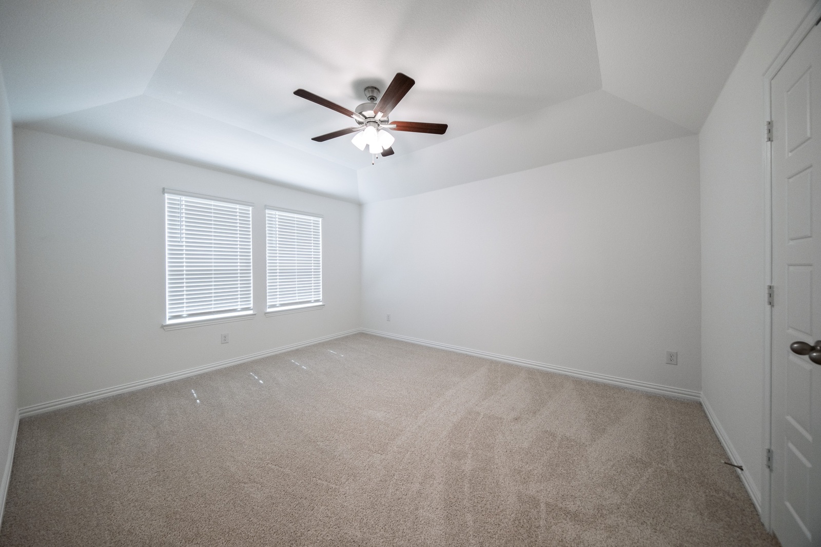 spacious primary bedroom with carpet and windows
