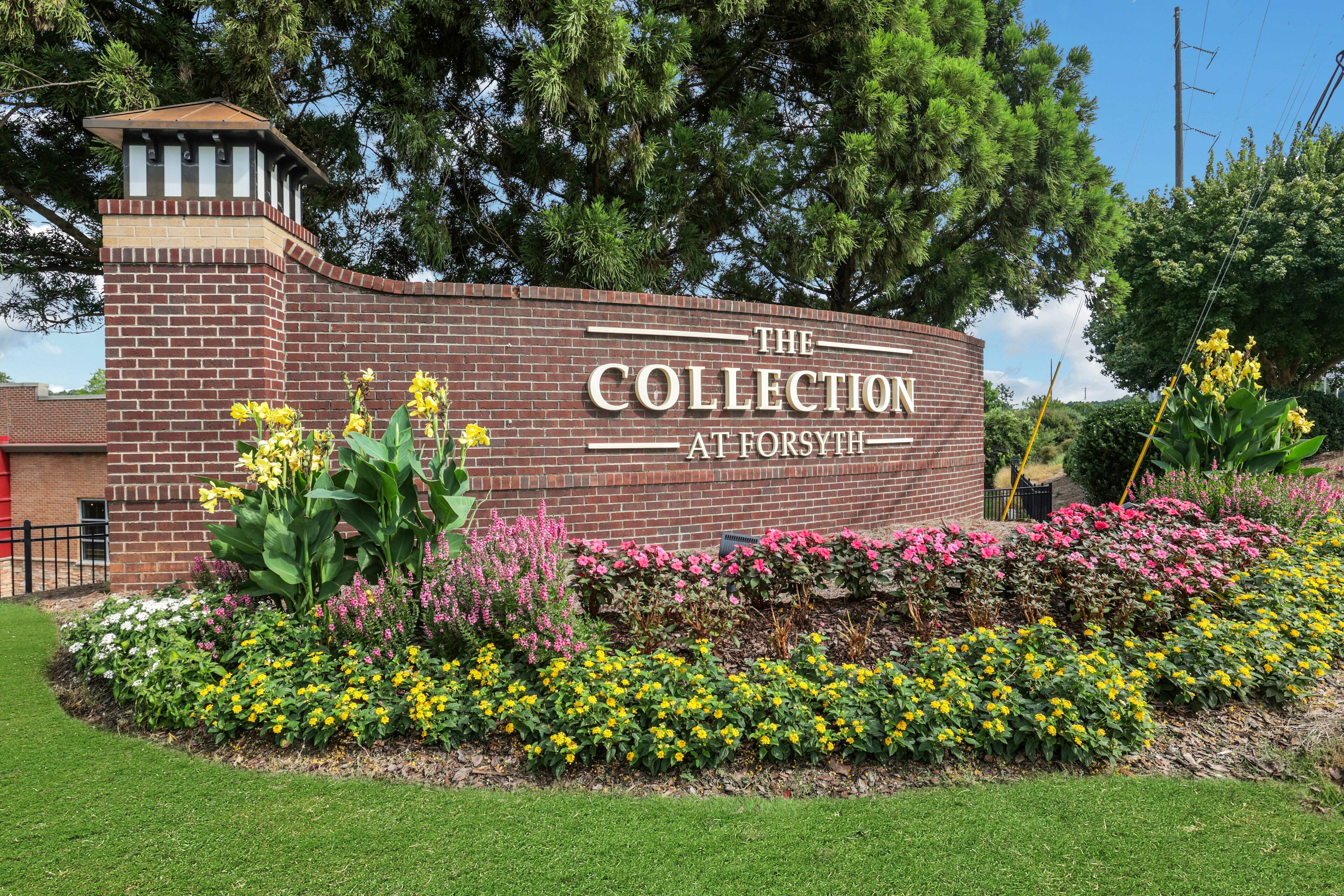 The Collection at Forsyth