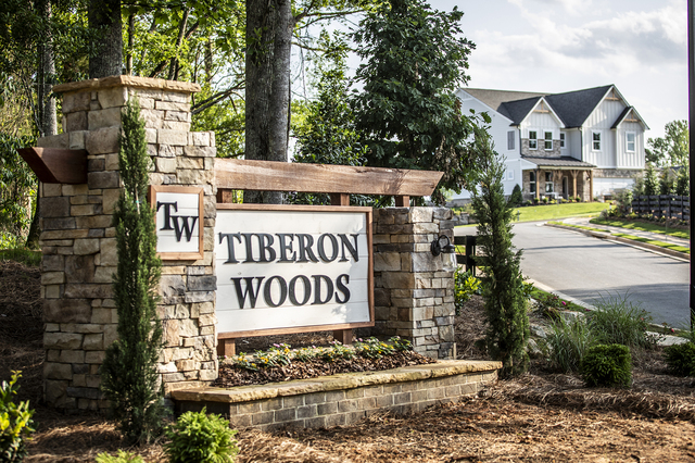 The Tiberon Woods