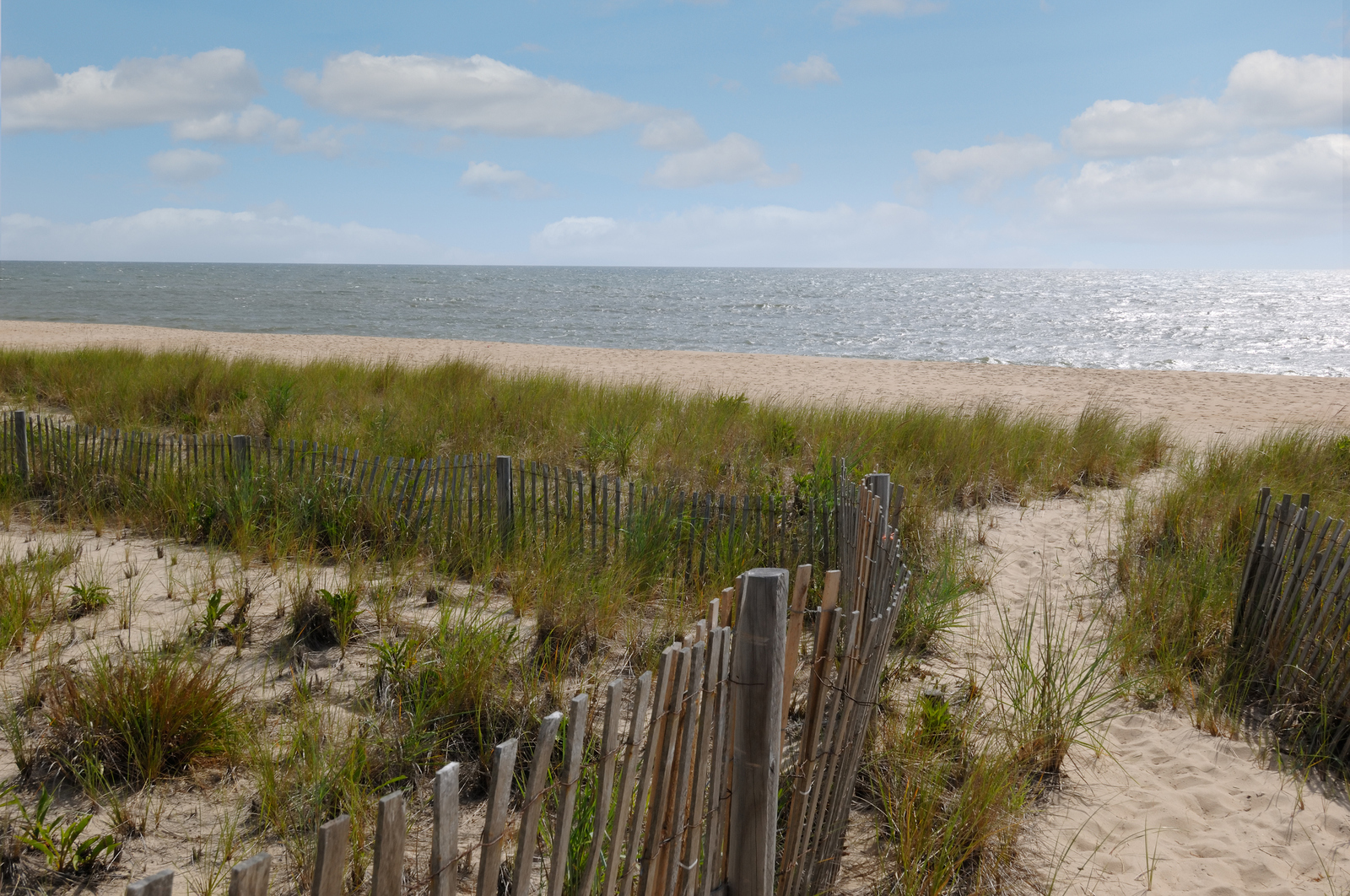 Town of Ocean View, DE.jpg