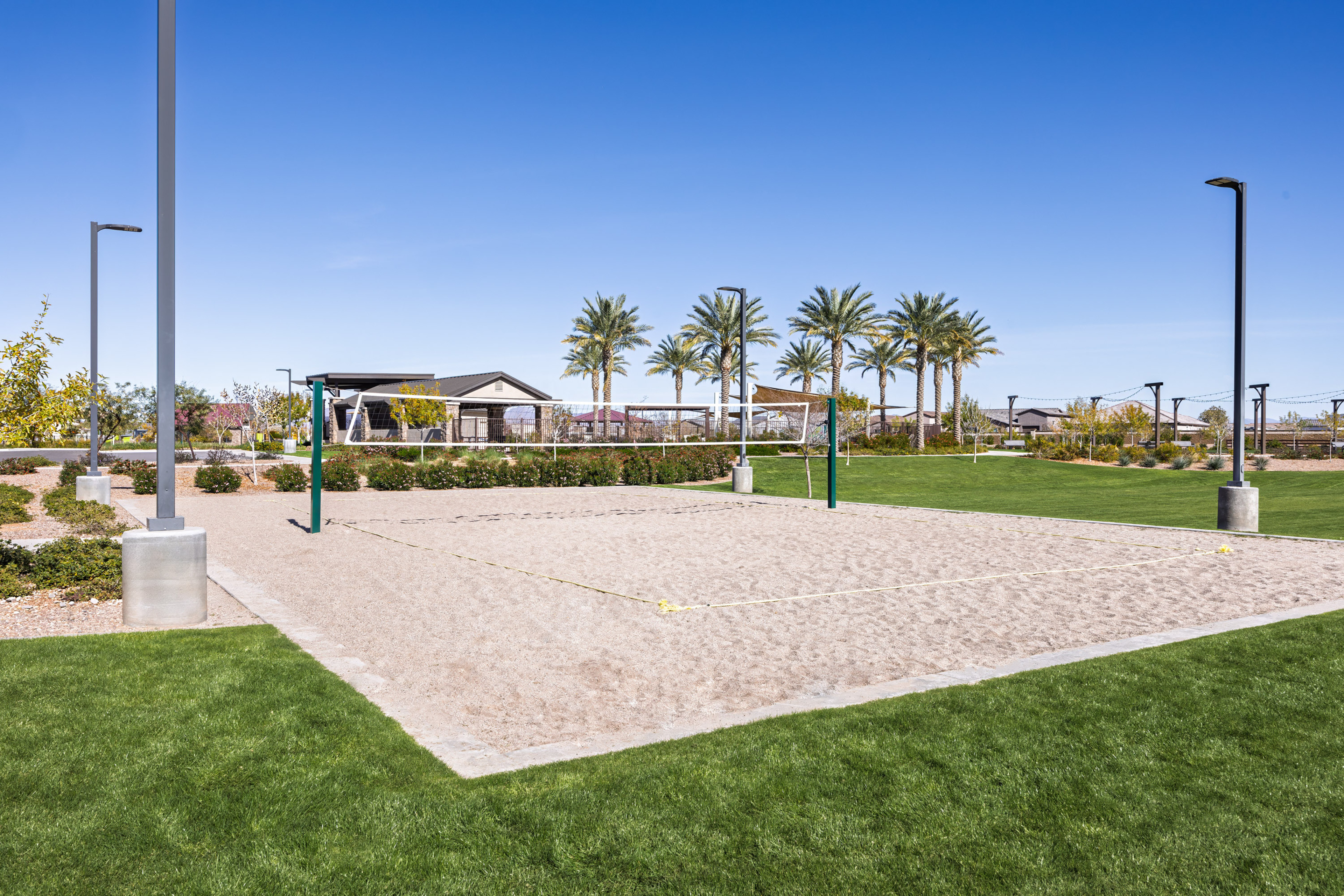 Volleyball Court