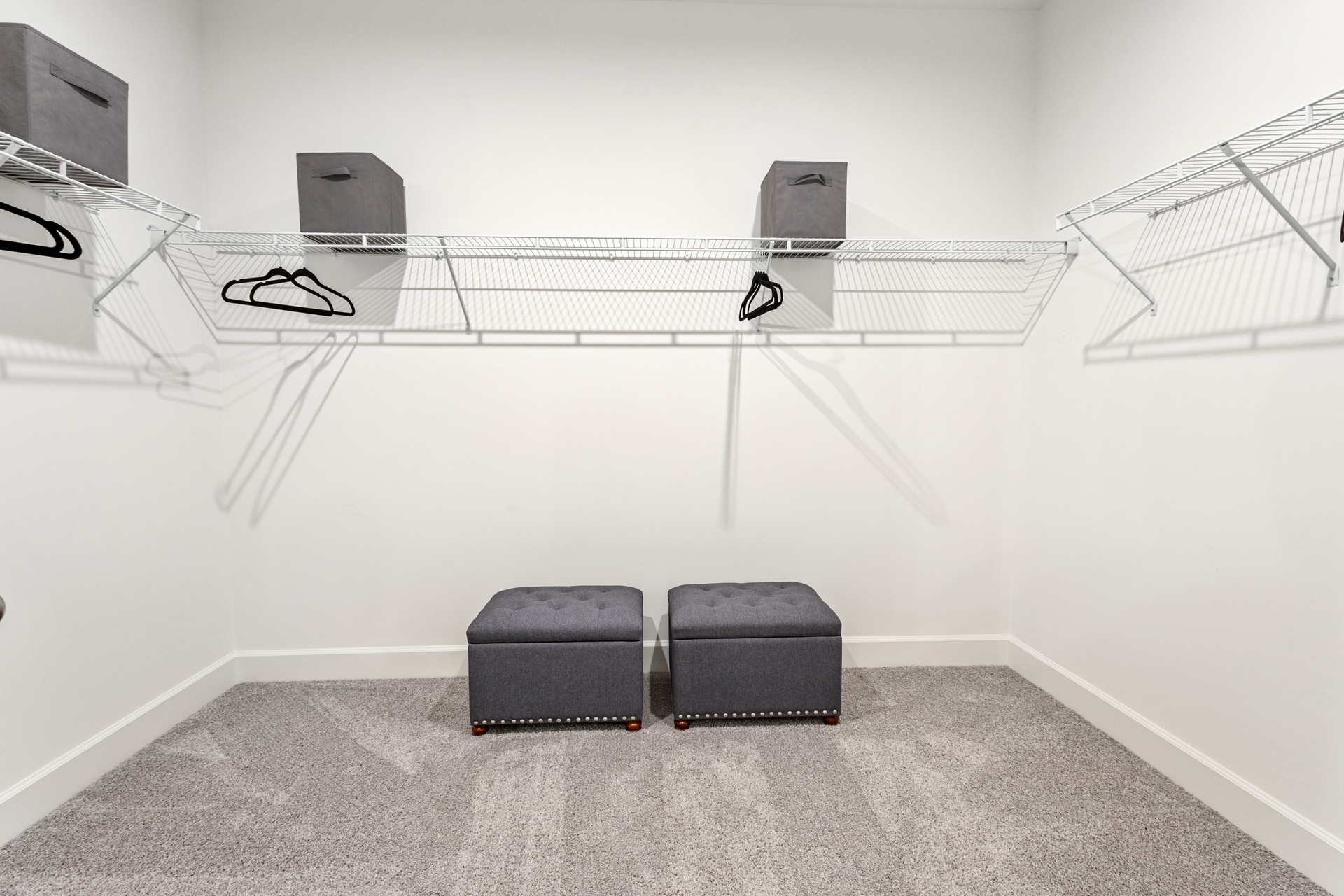 walk in closet with shelves and carpet