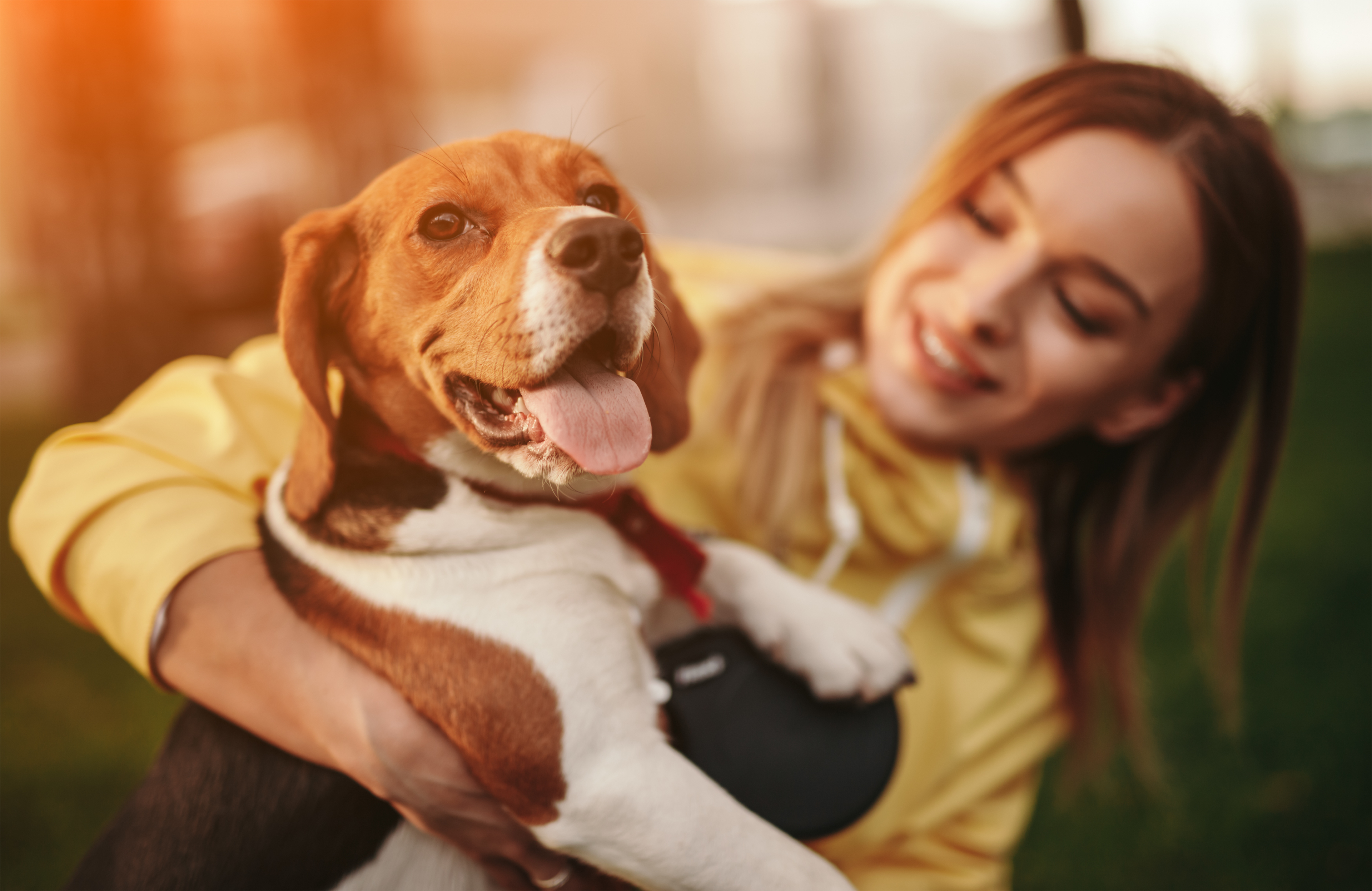 iStock dog and woman
